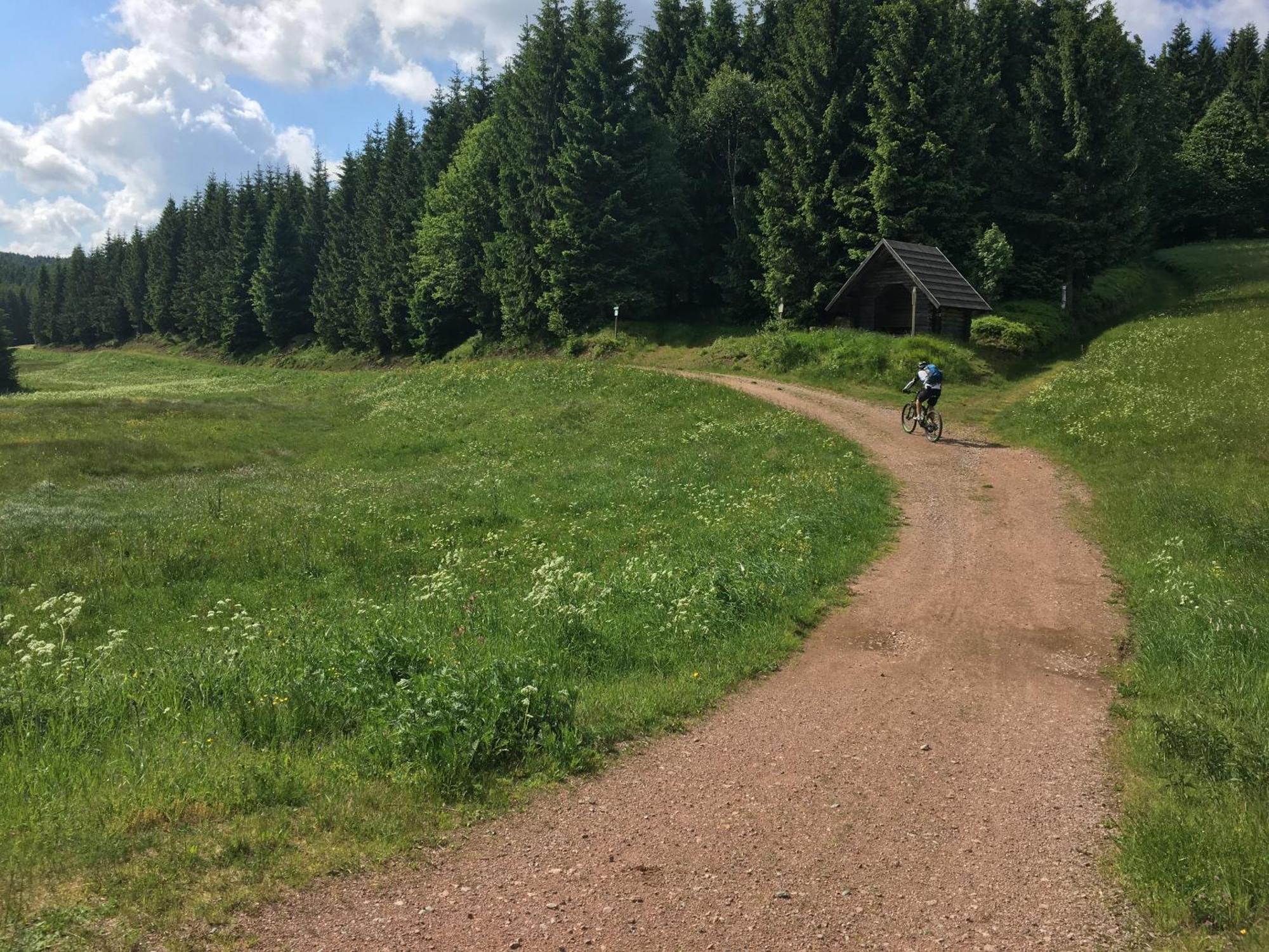 Ferienhaus Bikehuette Rehnhaeusl Geising Oda fotoğraf