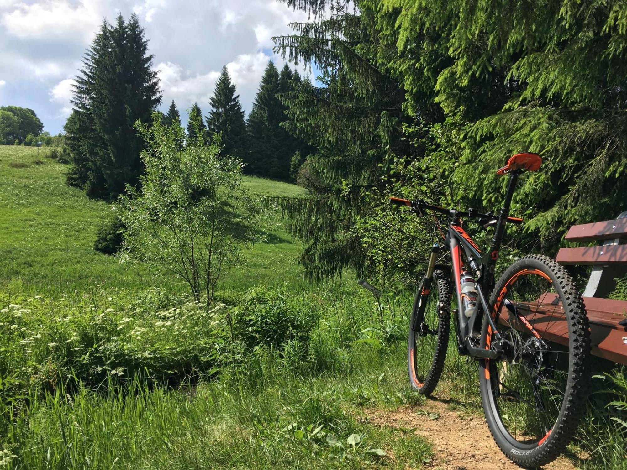 Ferienhaus Bikehuette Rehnhaeusl Geising Dış mekan fotoğraf